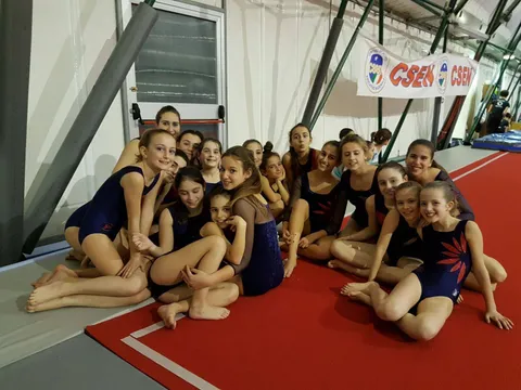 Ginnastica Artistica
