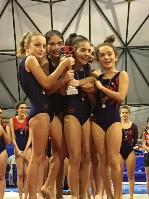 Ginnastica Artistica