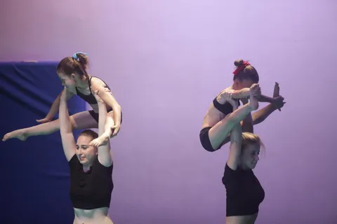 Saggio 2017