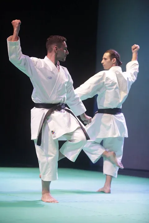 Saggio 2017