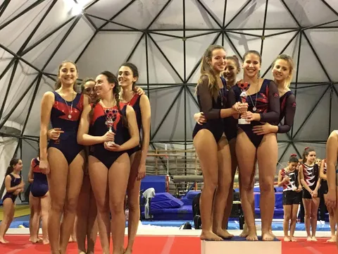 Ginnastica Artistica
